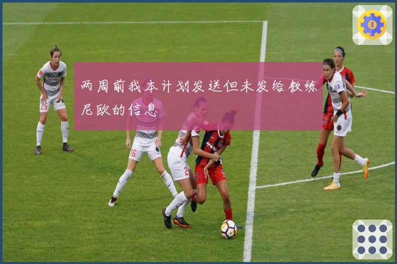 两周前我本计划发送但未发给教练尼欧的信息