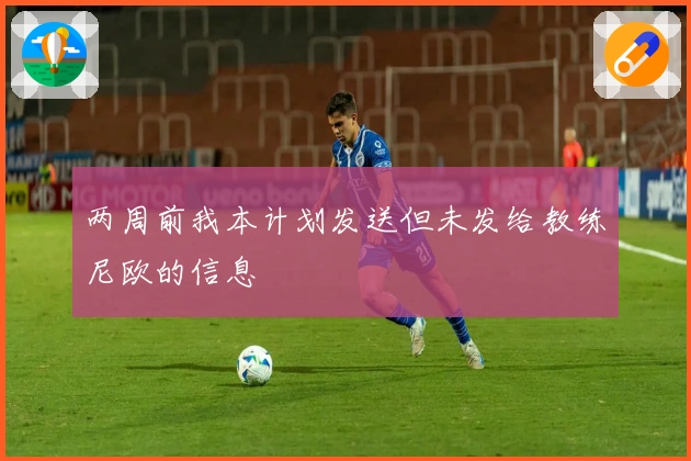 两周前我本计划发送但未发给教练尼欧的信息
